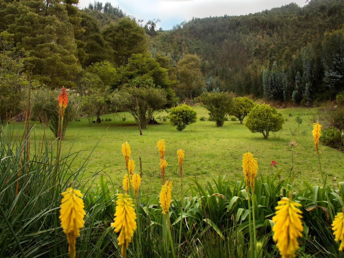 Finca La Mara Pension Tibasosa Buitenkant foto